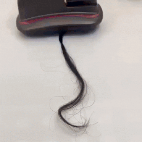 FreshGuard™ Furniture Vacuum