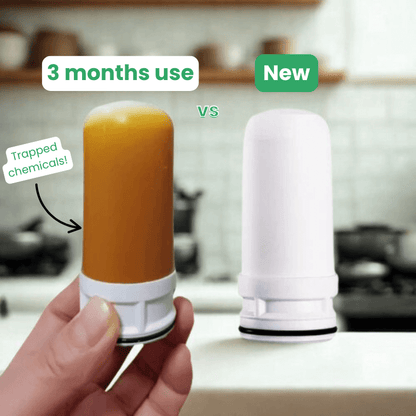 FreshFlow™ Tap Filter